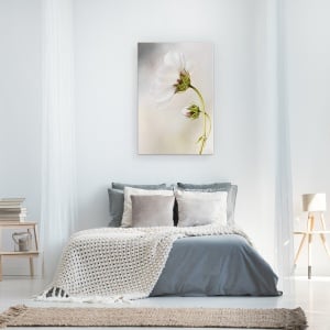 Tablou canvas - Cosmos, Natura Moarta, Floare, 60 x 90 cm - Img 3