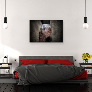Tablou canvas - Cunoasterea Imemoriala A Nou-Nascutilor, Animale, Pui De Elefant, Ochi, 40 x 60 cm - Img 3