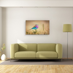 Tablou canvas - Curcubeu Zburator, Pasare, Colorat, 50 x 80 cm - Img 2