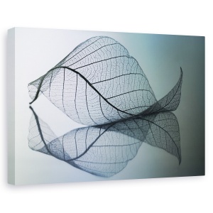 Tablou canvas - Curvaceousness, Frunza, Linie, Curba, Delicata, 60 x 90 cm