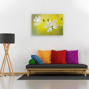 Tablou canvas - Cusatura, Vara, Macro, Floare, Moale, 80 x 120 cm - Img 2