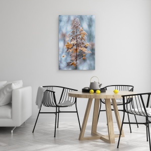 Tablou canvas - Dantela De Iarna, Hortensie, Paniculata, Floare, Seminte, Cap, 60 x 90 cm - Img 4