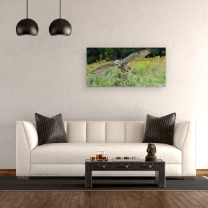 Tablou canvas - Deschide Aripile Si Zbori, Bufnita, Raptor, Pasare, 50 x 100 cm - Img 2