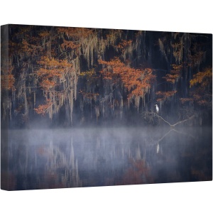 Tablou canvas - Dimineata Cetoasa, Caddo, Texas, Ceata, Pasare, Apa, Noi, 40 x 60 cm