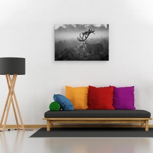 Tablou canvas - Dimineata Insorita, Caprioara, Elan, Coarne De Cerb, 40 x 60 cm - Img 2