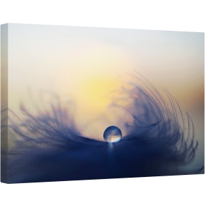 Tablou canvas - Dimineata, Macro, Cadere, Roua, Pana, Soare, Moale, 40 x 60 cm