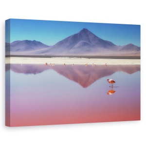 Tablou canvas - Dimineata Roz, Natura, Animal, Pasare, Flamingo, Salbatic, 40 x 60 cm