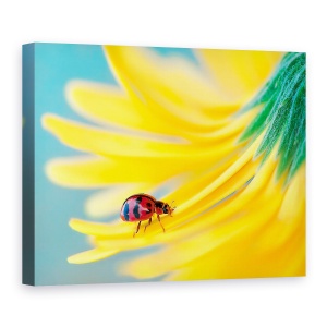 Tablou Canvas - Doamna Rosie, Buburuza, Rosu, Galben, 60 x 80 cm