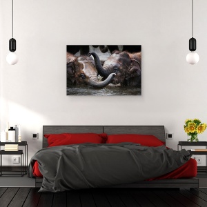 Tablou canvas - Doar Noi Doi, Elefant, Dragut, Joaca, 40 x 60 cm - Img 3