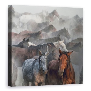 Tablou canvas - Doi Cai, Animale, 90 x 90 cm