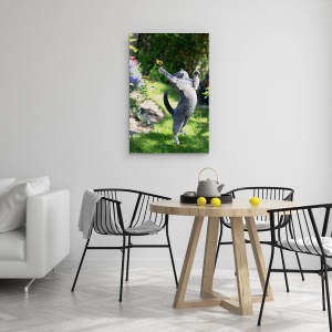 Tablou canvas - Domnisoara, Pisica, Animal, Danemarca, Fluture, Prinde, 60 x 90 cm - Img 4