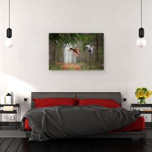 Tablou canvas - Doua, Pasari, Bokeh, Salbatic, Natura, 60 x 90 cm - Img 3