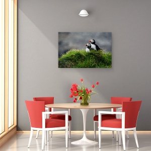 Tablou canvas - Dovlecel, Natura, Animal, Pasare, Cuplu, 60 x 90 cm - Img 4