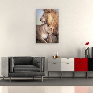 Tablou canvas - Dragoste Salbatica, Leu, Leoaica, Salbatic, Dragoste, Afectiune, 40 x 60 cm - Img 2