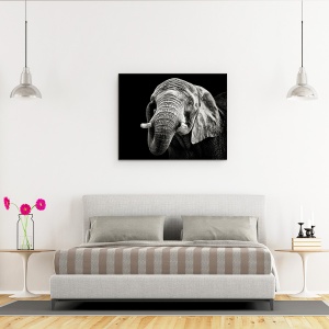 Tablou canvas - Elefant African, Monocrom, Animal, Intuneric, 60 x 75 cm - Img 3