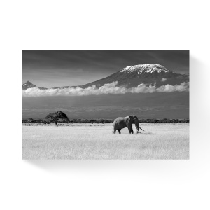 Tablou Canvas - Elefant, Animal, Peisaj, Natura, Munti, Zapada, Nori, 80 x 120 cm
