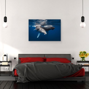 Tablou canvas - Familia Balenelor Cu Cocoasa, Sub Apa, 40 x 60 cm - Img 3