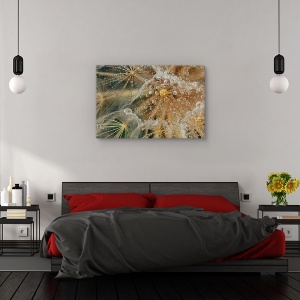 Tablou canvas - Fara stele, Flori, Picaturi, Roua, Pene, 80 x 120 cm - Img 3
