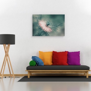 Tablou canvas - Fecioara, Floare, Macro, Roz, Moale, Gradina, 80 x 120 cm - Img 2