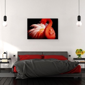 Tablou canvas - Flamingo, Pasare, Rosu, Ochi, Privire, 80 x 120 cm - Img 3