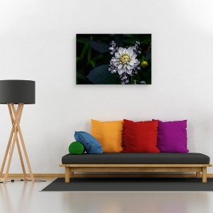 Tablou canvas - Floare de Dalie, Floare, Macro, Gradina, Petale, Alb, Dahlia, 60 x 90 cm - Img 2