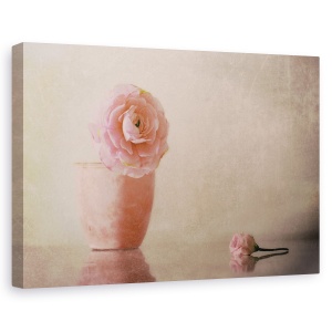 Tablou canvas - Floare, Roz, Floare, Natura Moarta, Romantism, 40 x 60 cm