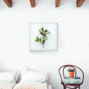 Tablou decorativ floral alb cu frunze pe canvas 60x60 cm