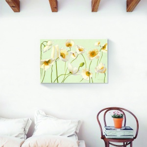 Tablou canvas floral cu flori de maci albe, 60x90 cm
