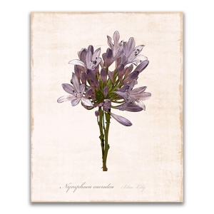 Tablou Canvas - Flori, Floare, Primavara, Mov, 60 x 75 cm
