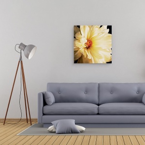 Tablou canvas - Flori, Flori, Flori alb-galbene, 60 x 60 cm - Img 2