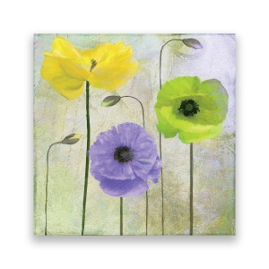 Tablou Canvas - Flori, Mac, Turcoaza, Mov, 60 x 60 cm