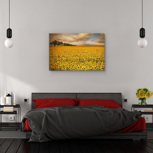 Tablou canvas - Floria-soarelui, Peisaj, 80 x 120 cm - Img 3