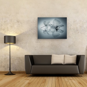 Tablou canvas - Frumusete Efemera, Delicata, Eleganta, Efemer, Hortensie, Linie, 60 x 80 cm - Img 2