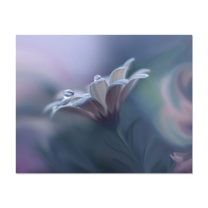Tablou Canvas - Frumusetea naturii, Floare, 80 x 100 cm