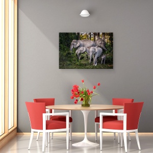 Tablou canvas - Frunze Gustoase, India, Padure, Apus De Soare, Elefant, Familie, 60 x 90 cm - Img 4