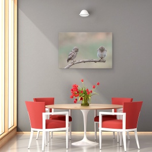 Tablou canvas - Gagica Mea, Bufnita, Salbatic, Pasare, Ramura, 40 x 60 cm - Img 4
