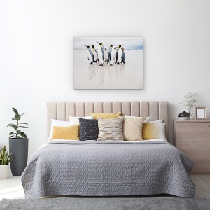 Tablou Canvas - Garda De Corp, Natura, Animal, Pinguin, Salbatic, Plaja, 50 x 70 cm - Img 3
