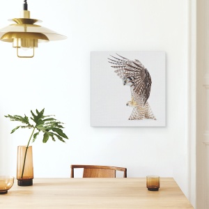 Tablou canvas - Gaurire, Salbatic, Nordul, Soim, Bufnita, Camp, 60 x 60 cm - Img 4