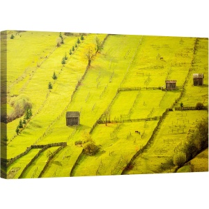 Tablou canvas - Geometric, Sadova, Romania, Toamna, Verde, Rural, Rural, 50 x 80 cm