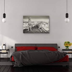 Tablou canvas - Gheparzi la panda, Animal, Camuflaj, Cuplu, Pereche, 80 x 120 cm - Img 3