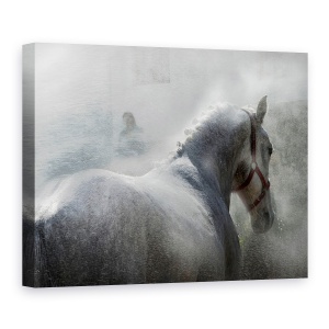 Tablou canvas - Gramy, Lipicanci, Cal, Apa, Spray, Animal, 75 x 100 cm