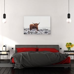 Tablou canvas - Highlander, Bizon, Buffalo, Blana, Animal, 80 x 120 cm - Img 3