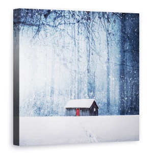 Tablou canvas - Iarna, Copac, Zapada, Casa, Stele, 60 x 60 cm