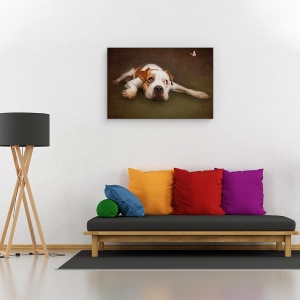Tablou canvas - Iluzie, Caini, Caine, Portret, Animale, Studio, 80 x 120 cm - Img 4