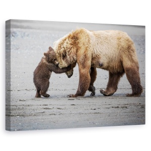Tablou canvas - Imbratisare de ursulet, Nature, imbratisare, Pui, Jucaus, 80 x 120 cm