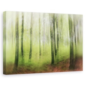 Tablou canvas - Impresie De Primavara, Padure, Copac, Frunze, Peisaj, 60 x 90 cm