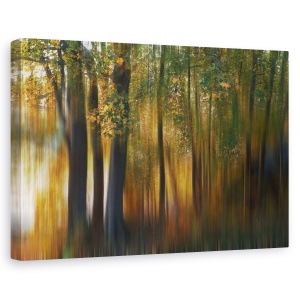 Tablou canvas - Impresie De Toamna 1, Copaci, Frunze, 40 x 60 cm