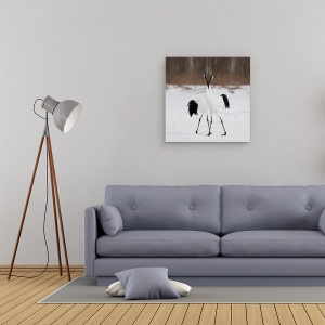 Tablou canvas - In Dragoste, Macarale, Macara, Danseaza, Japonia, Hokkaido, 60 x 60 cm - Img 2