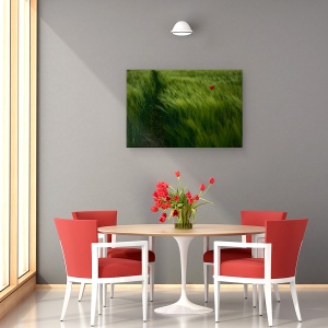 Tablou canvas - In Vant, Vara, Maci, Camp, Lunca, 60 x 90 cm - Img 4