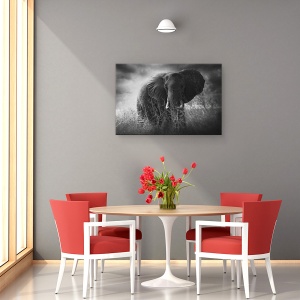 Tablou canvas - Incarca, Colti, Big, Urias, Maiestuos, Puternic, 60 x 90 cm - Img 4